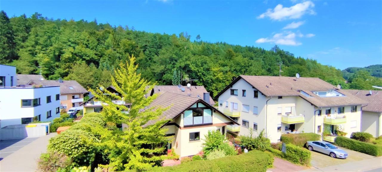 Pension Ramona - Hotel Garni Bad Soden-Salmünster Exterior foto